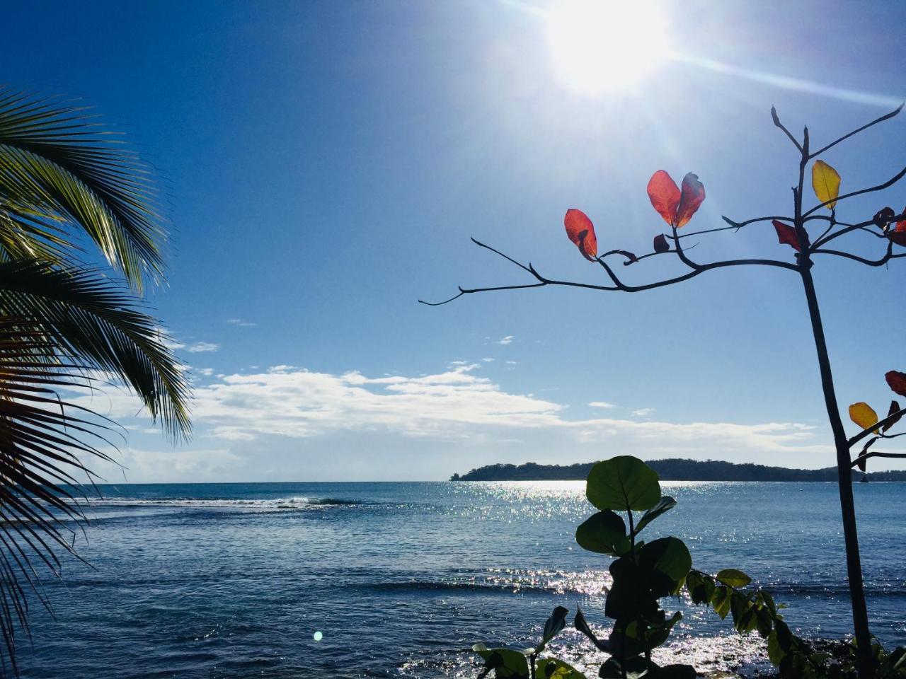 Casa Oceana Bed & Breakfast Bocas del Toro Buitenkant foto